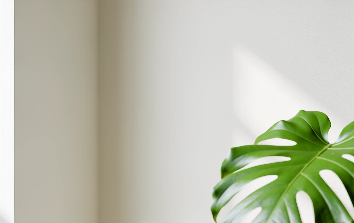 Ambiance sereine du studio